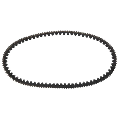 تسمه واریاتور GTS اصلی (1)